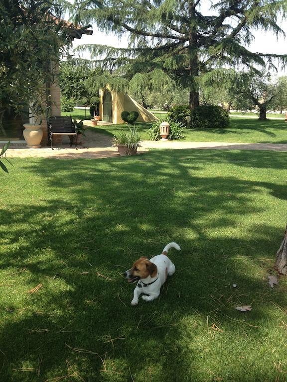 La Meridiana Sambuco  エクステリア 写真