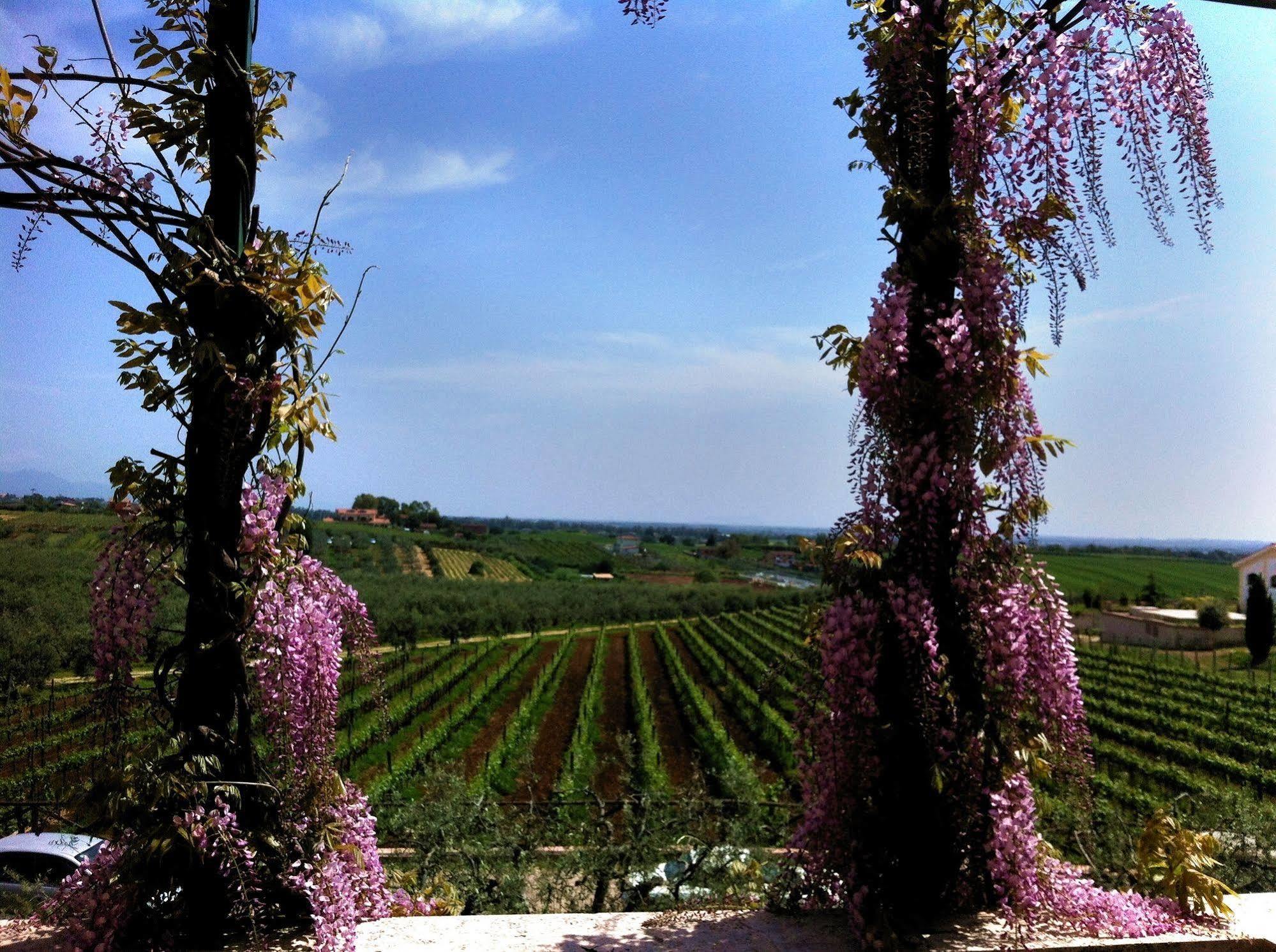 La Meridiana Sambuco  エクステリア 写真